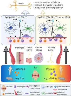 The Joint-Brain Axis: Insights From Rheumatoid Arthritis on the Crosstalk Between Chronic Peripheral Inflammation and the Brain